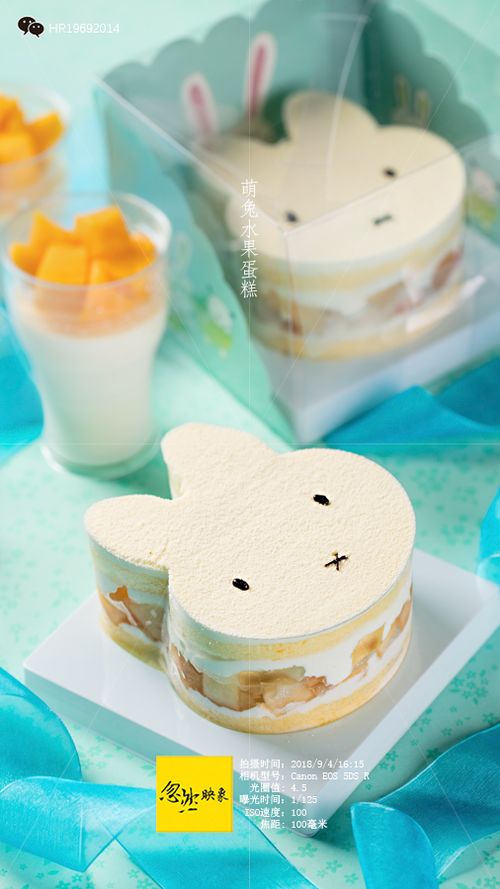 小兔水果蛋糕 沈阳烘焙制造 沈阳食品摄影 沈阳博格奥餐饮设计 忽然映象 食品 摄影