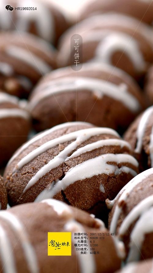沈阳可可饼干与甜馅饼 烘焙制造与食品摄影的完美融合